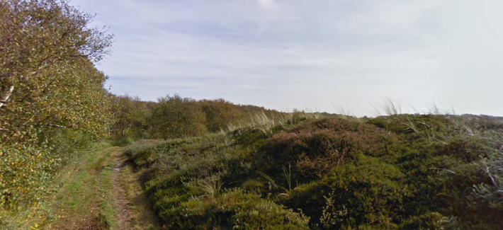 Terschelling
